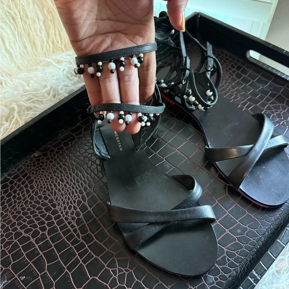 Sophia Webster Black and Multicolor Sandals